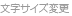 文字サイズ変更