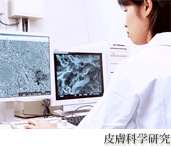 皮膚化学研究