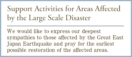 Support Activities for Areas Affected by the Large Scale Disaster