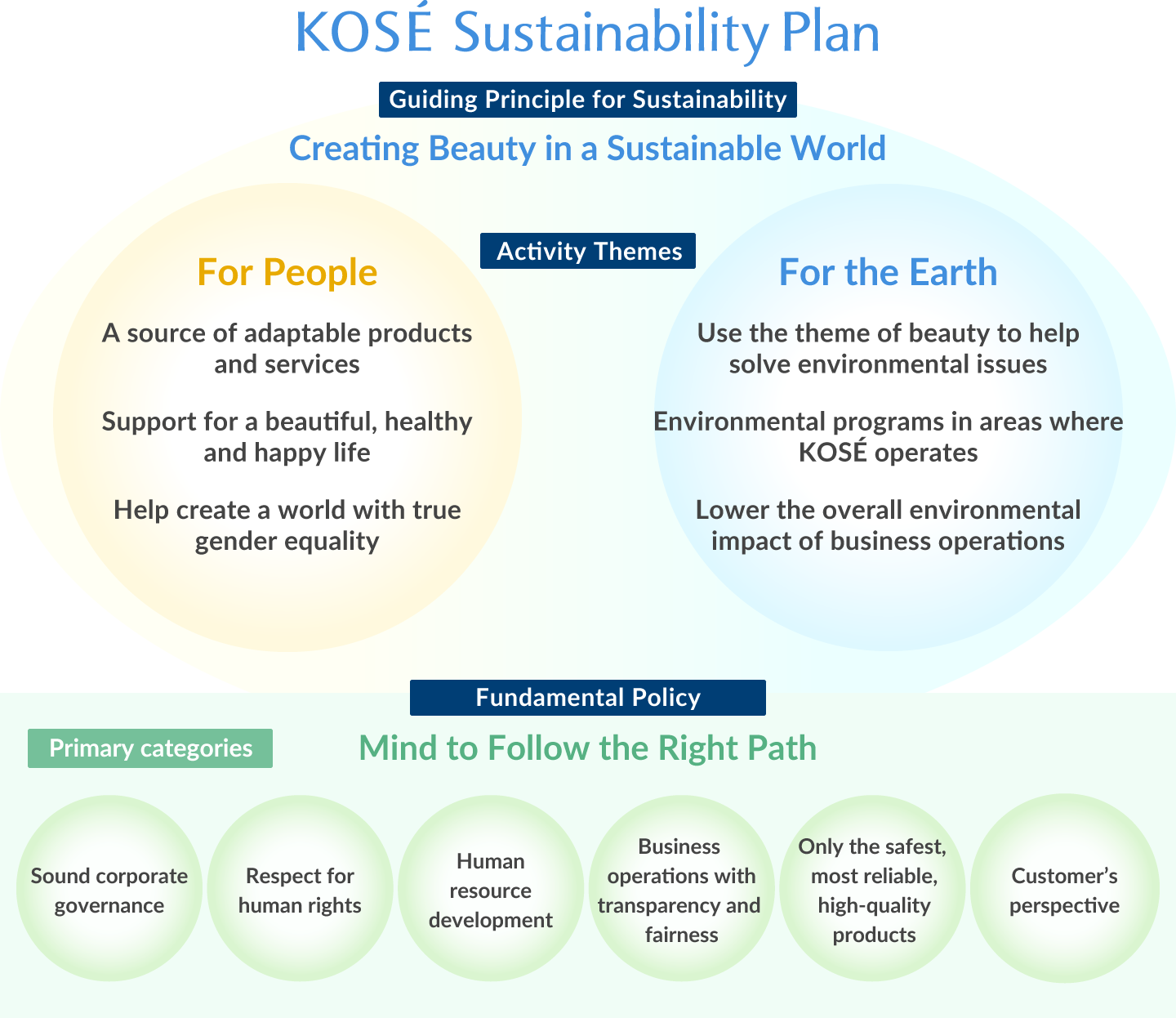 Overview of Sustainability Plan