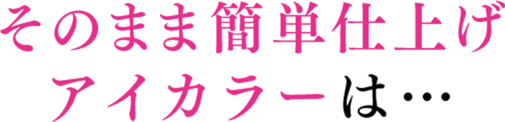 そのまま簡単仕上げアイカラーは…