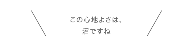 この心地よさは、沼ですね