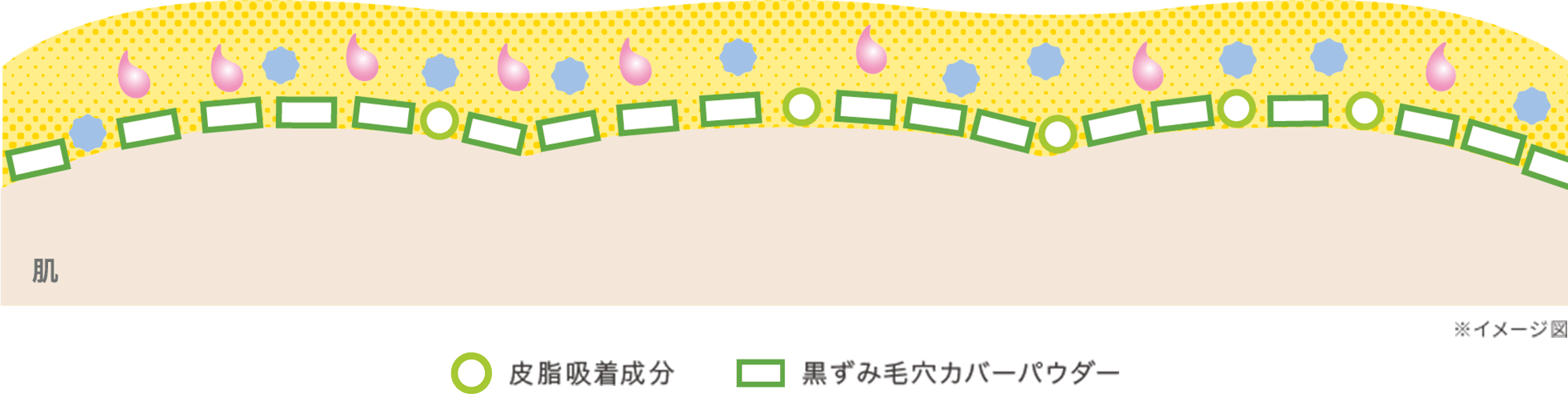 肌に商品を塗布した断面のイメージ図 皮脂吸着成分、黒ずみ毛穴カバーパウダー