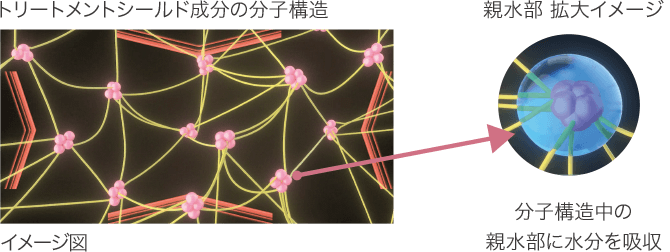 トリートメントシールド成分の分子構造