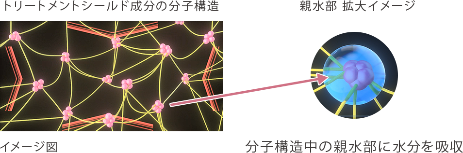 トリートメントシールド成分の分子構造 親水部拡大イメージ 分子構造中の親水部に水分を吸収