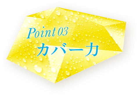Point03 カバー力