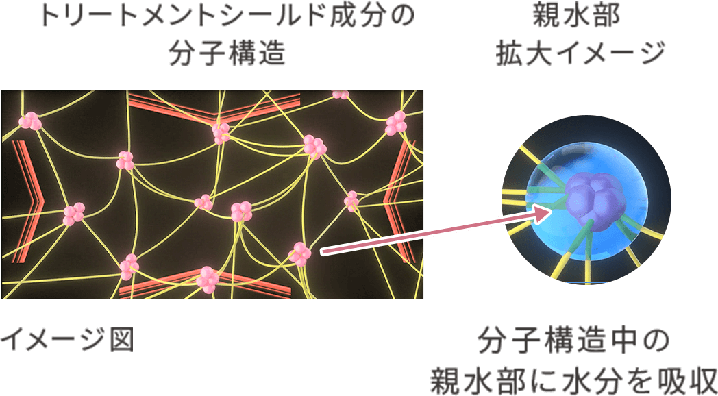 トリートメントシールド成分の分子構造 親水部拡大イメージ 分子構造中の親水部に水分を吸収