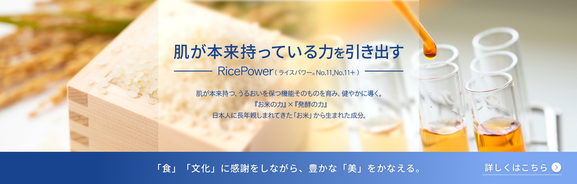 ライスパワーについて