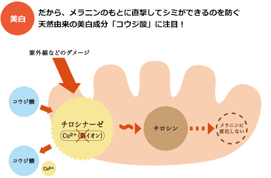 シミのケア どうすればいいの 40代 50代のための 今からでも間に合う シミのケア Kose 輝き続けるあなたのために コーセーの美容情報サイト