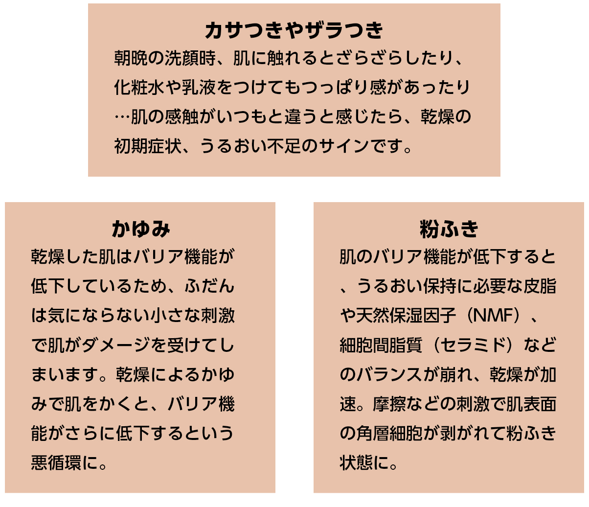 乾燥肌のたのもしい味方。うるおいを抱え込むセラミドが鍵!