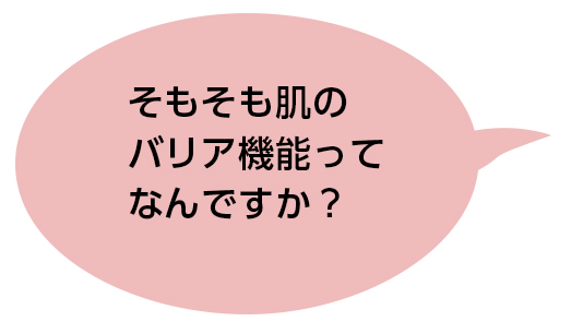 乾燥肌のたのもしい味方。うるおいを抱え込むセラミドが鍵!