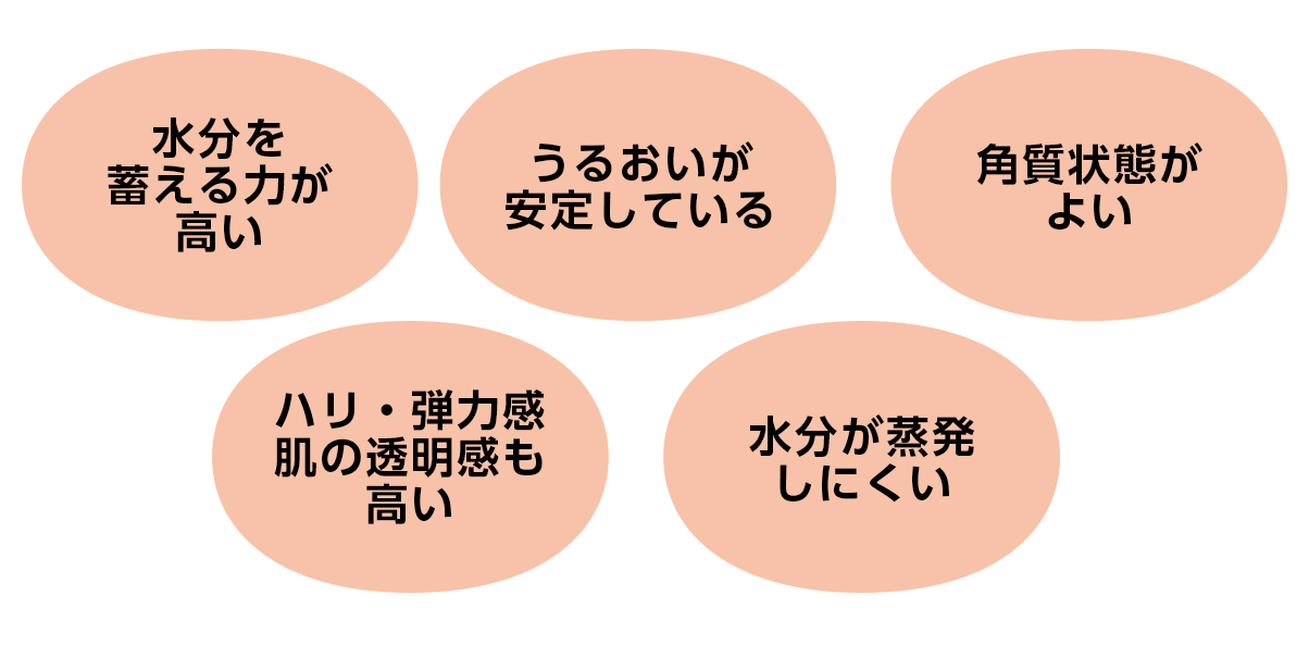過酷な環境の変化にもゆるがない。うるおいバリアを強化してもっちり潤密肌へ