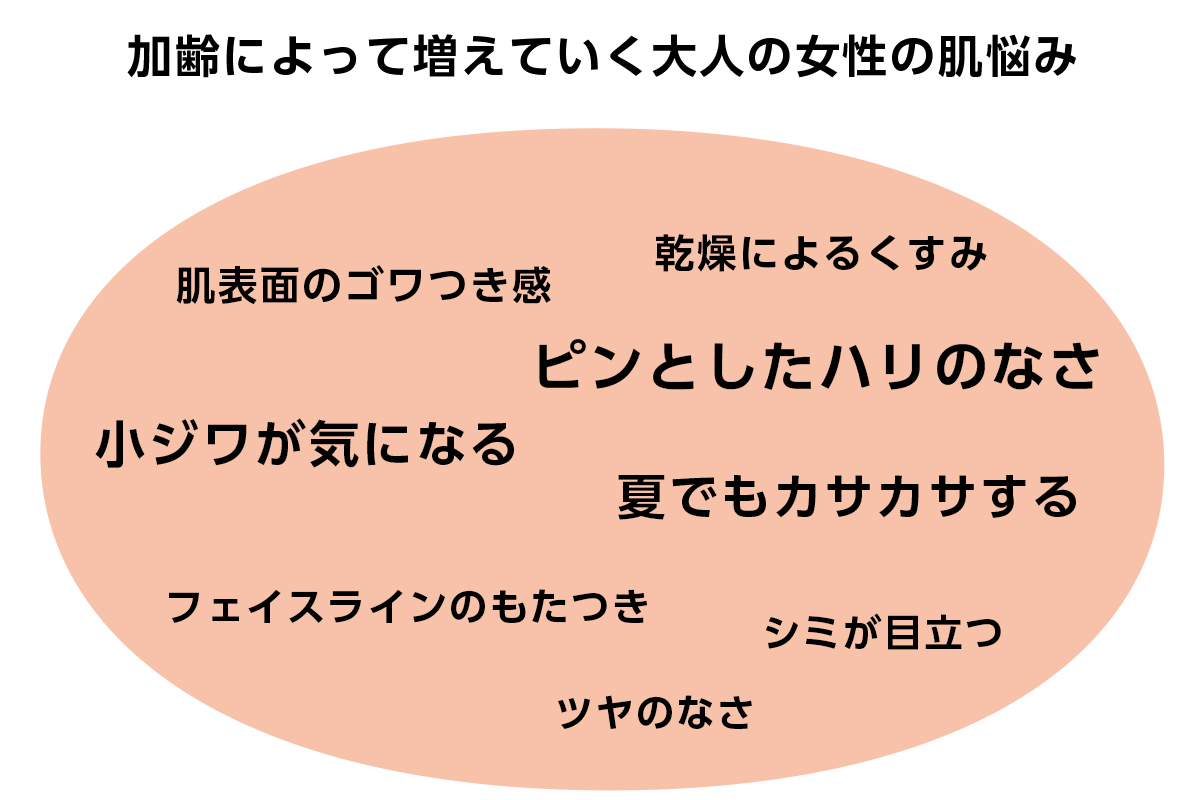 シワ改善とうるおいのエイジングケア※がもたらす充実のハリ満ち肌