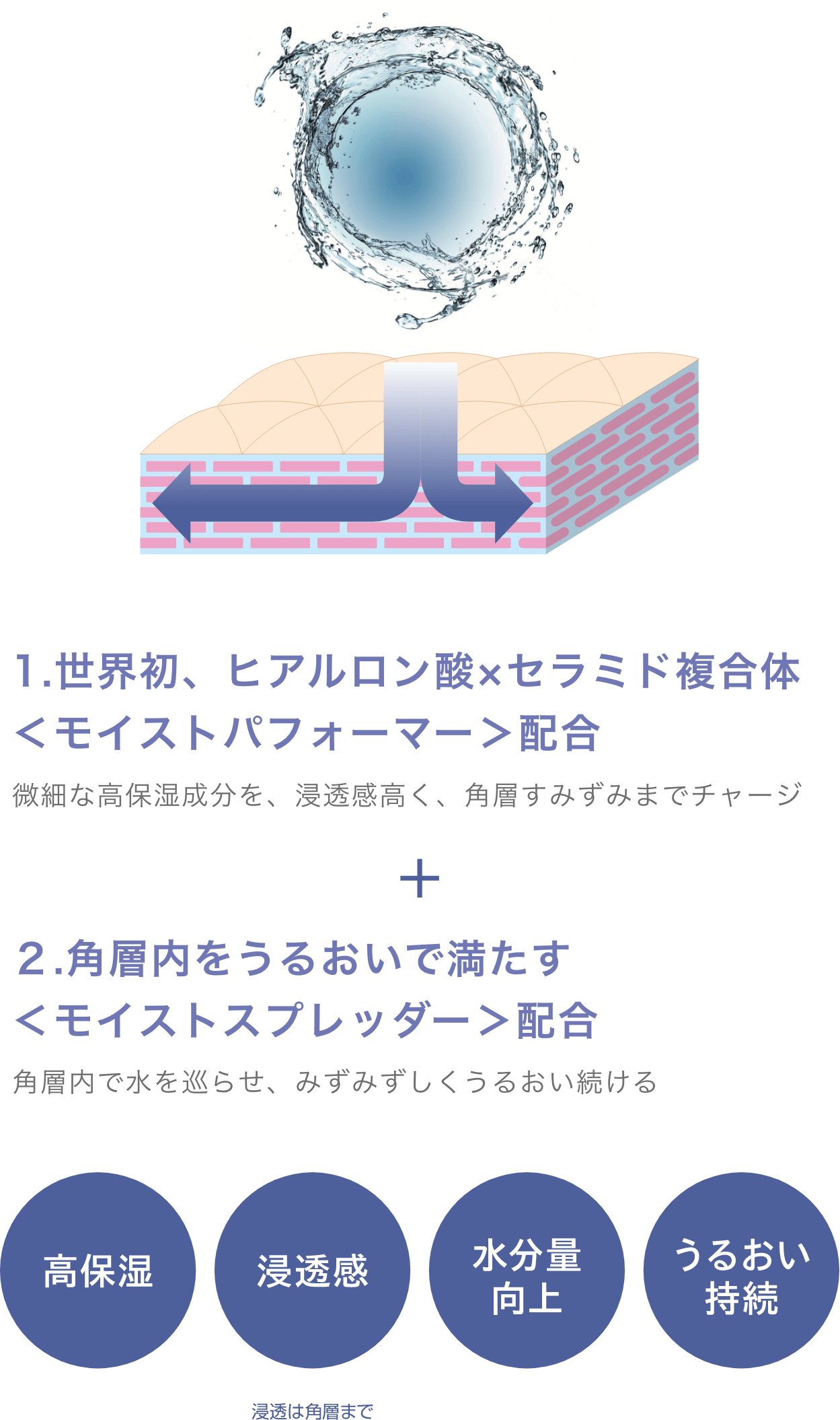 1.世界初、ヒアルロン酸×セラミド複合体<モイストパフォーマー>配合 2.角層内をうるおいで満たす<モイストスプレッダー>配合