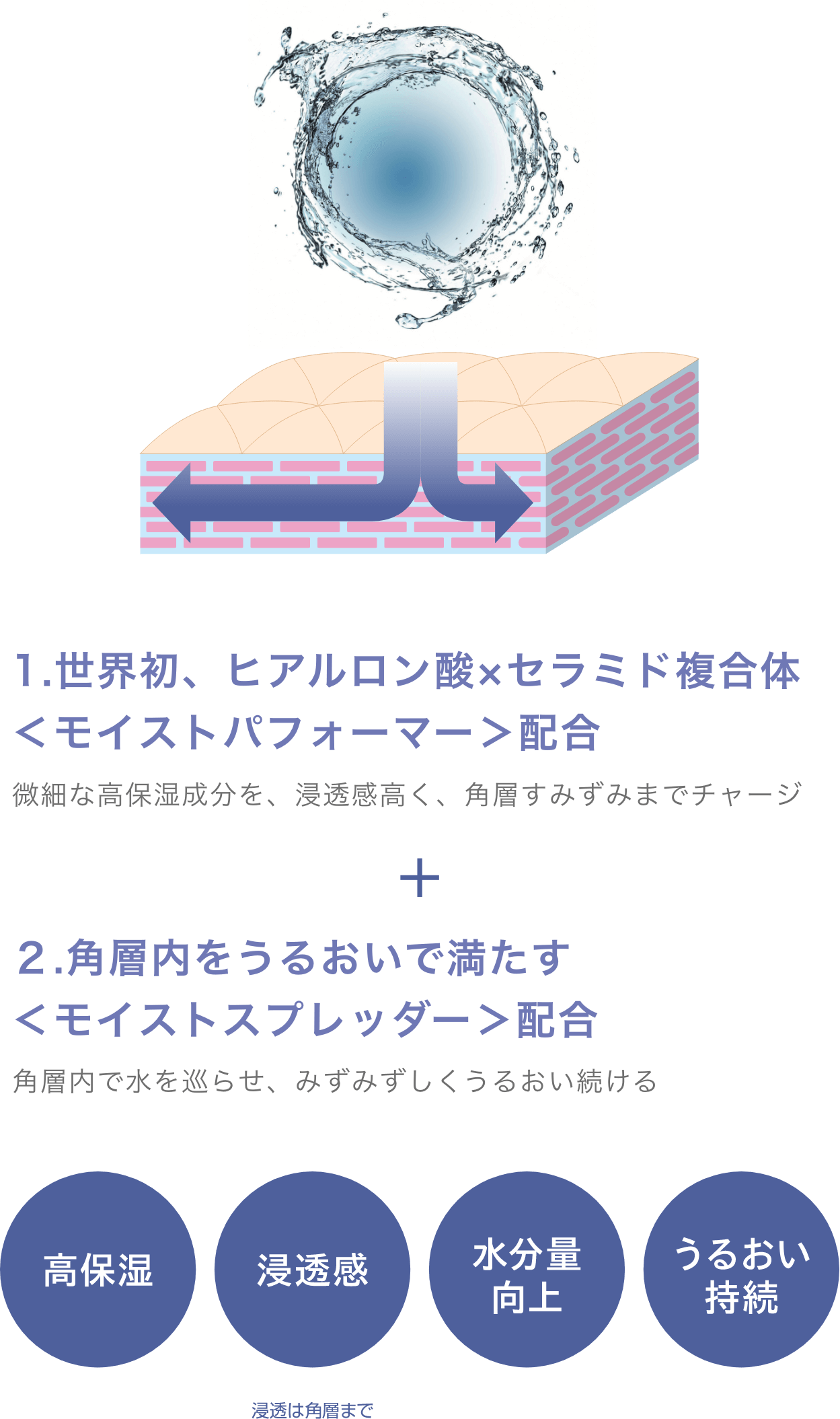 1.世界初、ヒアルロン酸×セラミド複合体＜モイストパフォーマー＞配合 ２.角層内をうるおいで満たす＜モイストスプレッダー＞配合