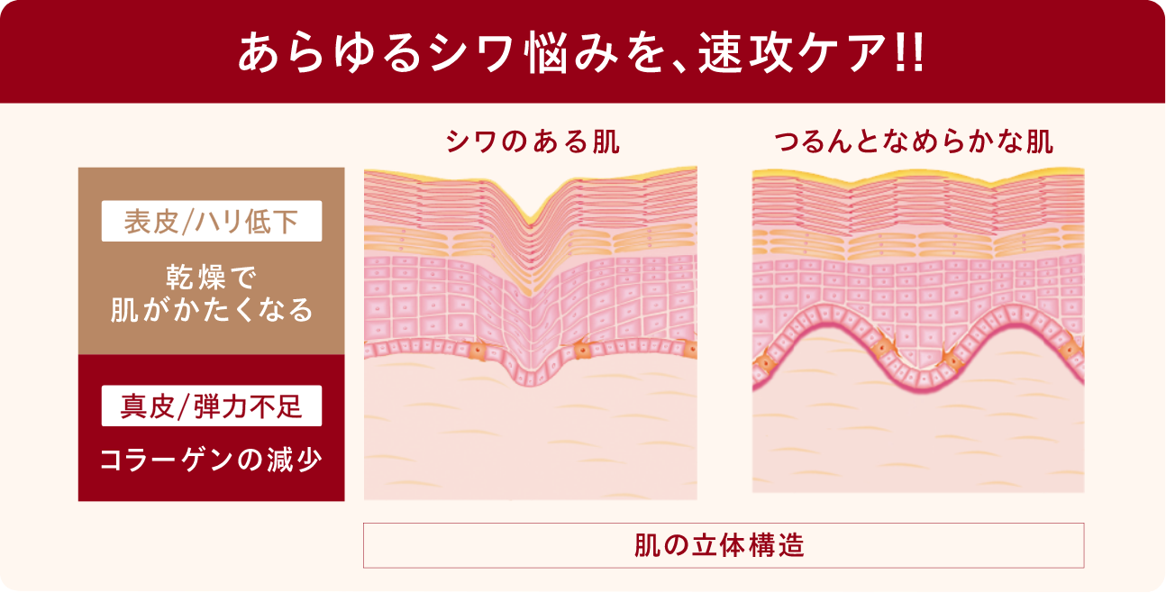 あらゆるシワ悩みを、速攻ケア!