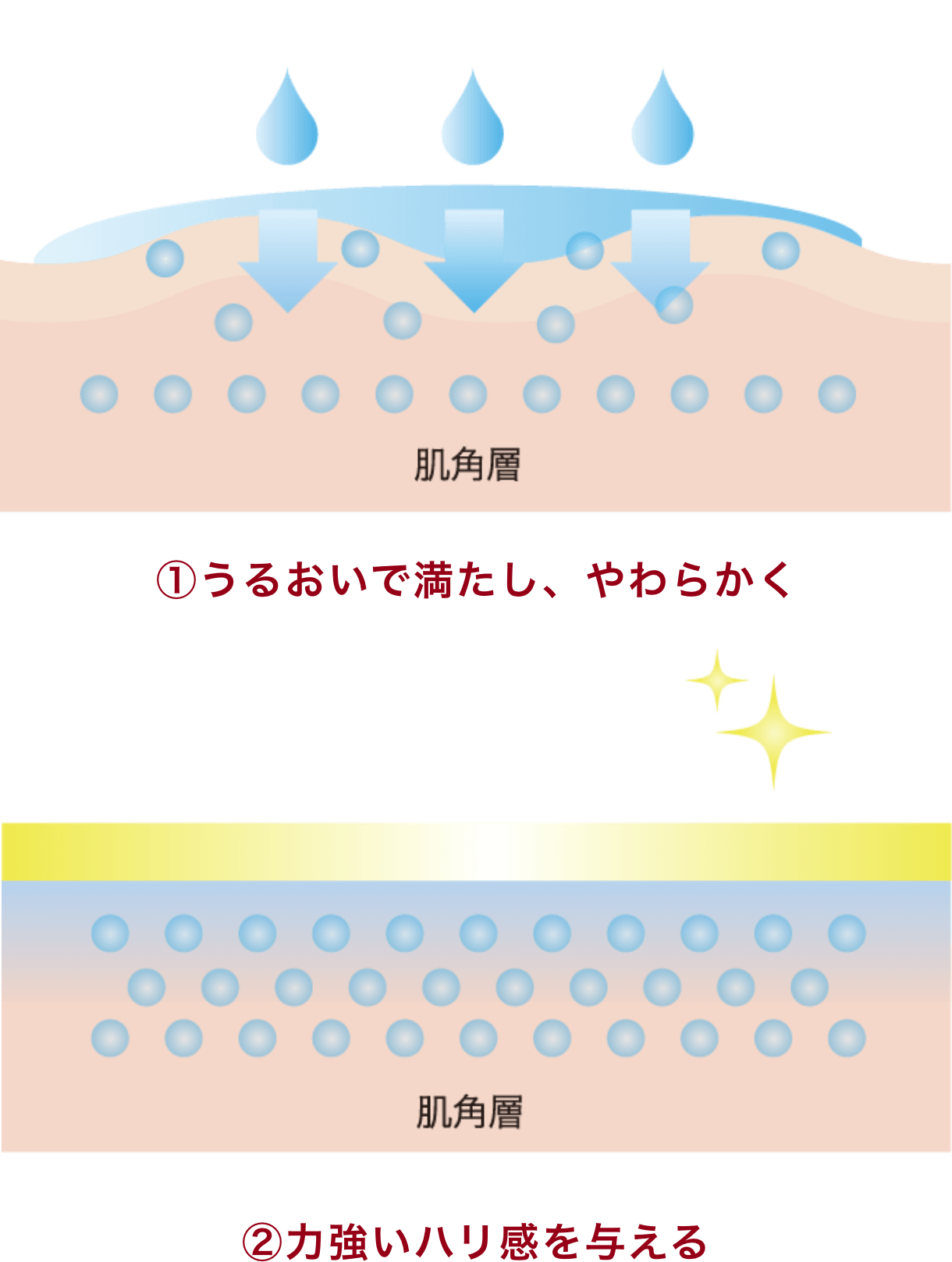 3.ソフニング&ストレッチキープ処方 イメージ