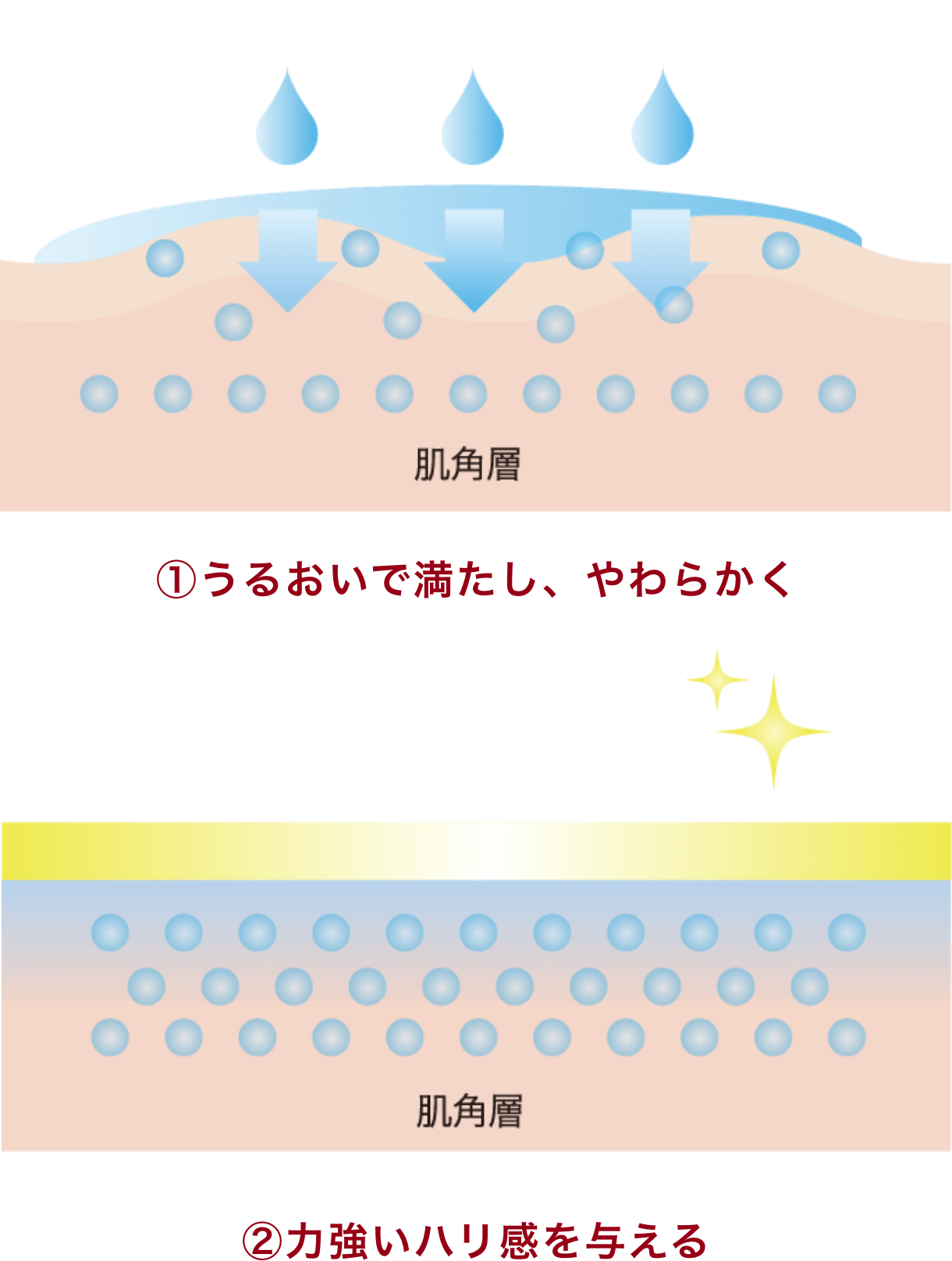 3.ソフニング＆ストレッチキープ処方 イメージ