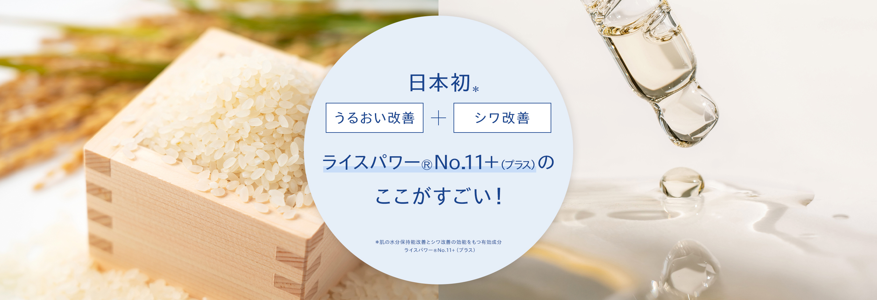 日本初 うるおい改善 しわ改善 新規有効成分 ライスパワー®No.11+（プラス）のここがすごい！