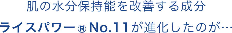 9肌の水分保持能を改善する成分ライスパワー®No.11が進化したのが…