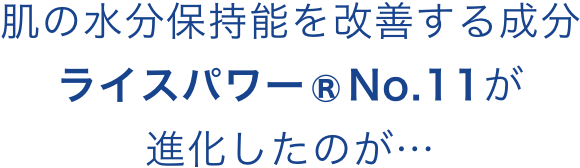 9肌の水分保持能を改善する成分ライスパワー®No.11が進化したのが…