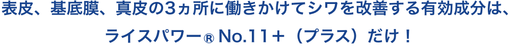 表皮、基底膜、真皮の3ヵ所に働きかけてシワを改善する有効成分は、ライスパワー®No.11＋（プラス）だけ！