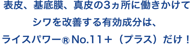 表皮、基底膜、真皮の3ヵ所に働きかけてシワを改善する有効成分は、ライスパワー®No.11＋（プラス）だけ！