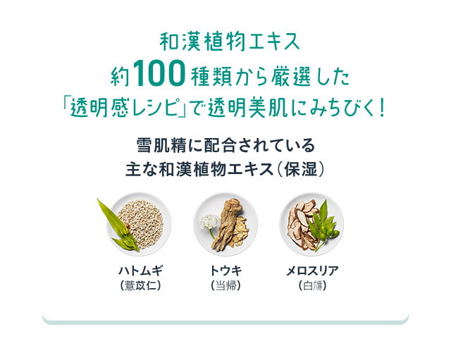 和漢植物エキス約100種類から厳選した「透明感レシピ」で透明美肌にみちびく！