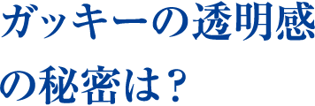 ガッキーの透明感の秘密は？