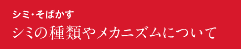 シミ・そばかすシミの種類やメカニズムについて