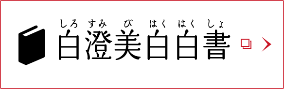 白澄美白白書