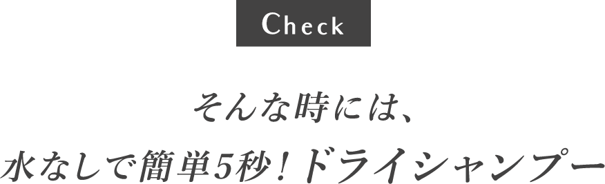 そんな時には、ドライシャンプーN