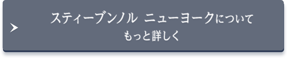 スティーブンノルニューヨークについてもっと詳しく