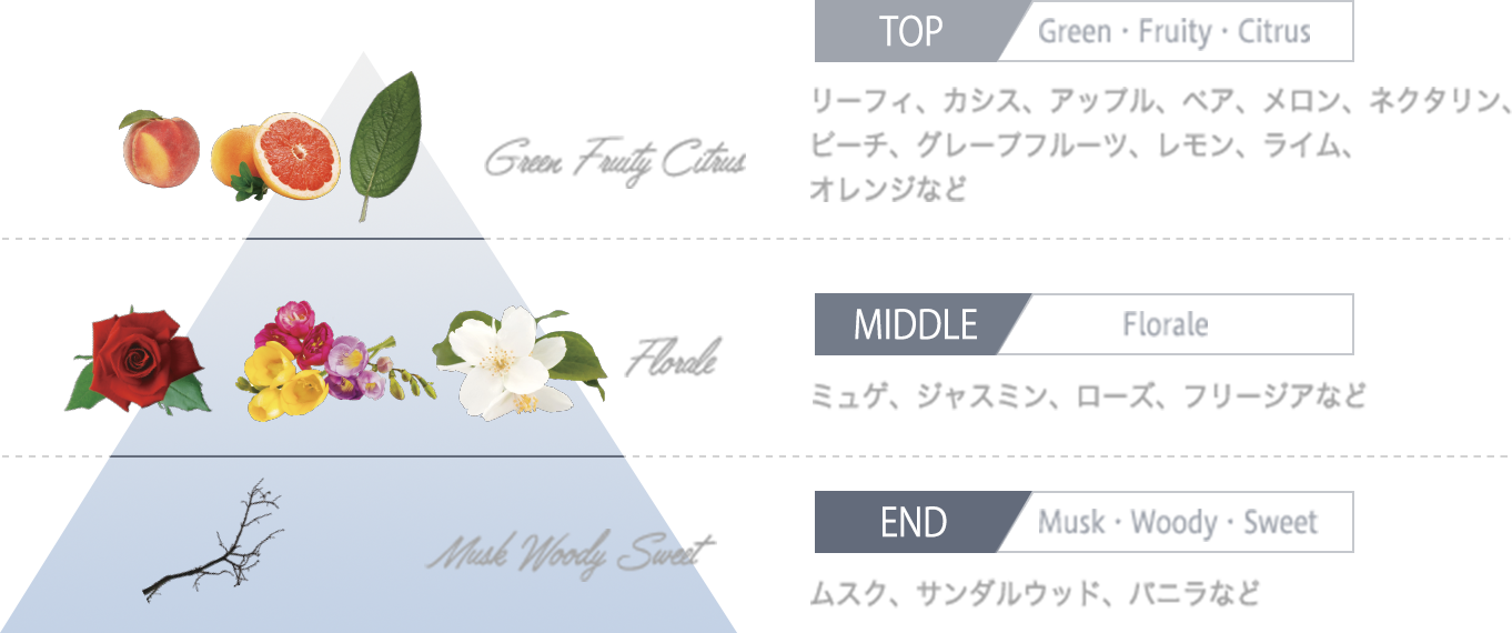TOP MIDDLE END