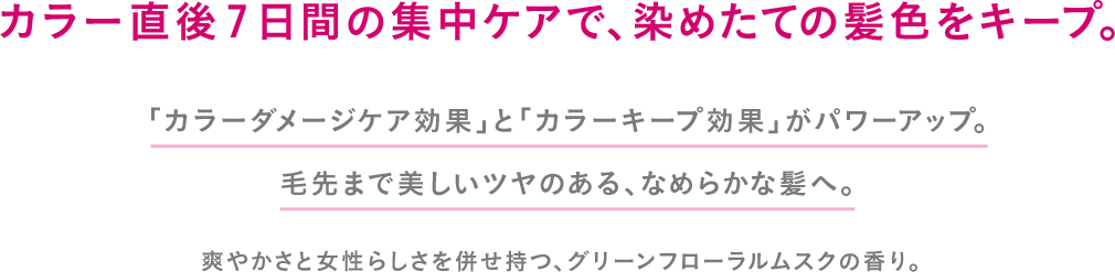 清潔な頭皮と、くずれ知らずの理想髪がつづく頭皮ケアライン。 