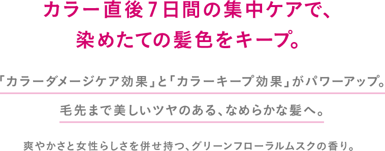 清潔な頭皮と、くずれ知らずの理想髪がつづく頭皮ケアライン。 