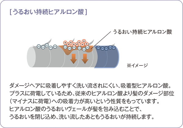 うるおい持続ヒアルロン酸