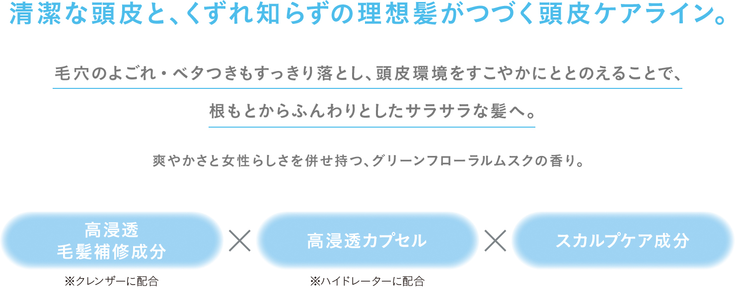 清潔な頭皮と、くずれ知らずの理想髪がつづく頭皮ケアライン。 