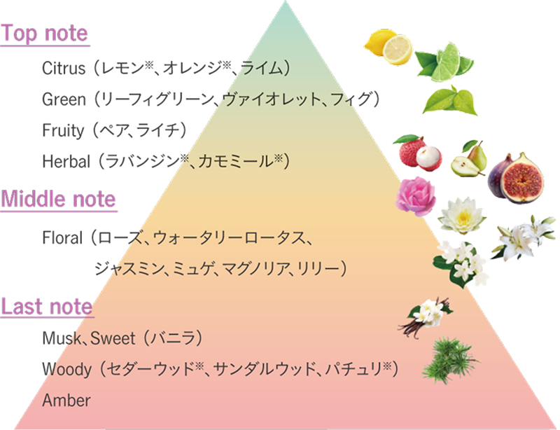 フィグ&ホワイトブーケの香調