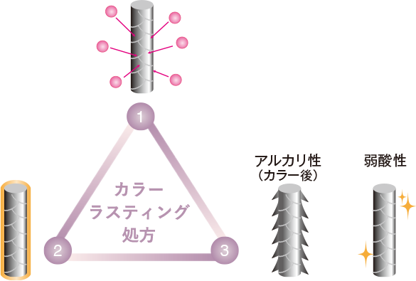 カラーラスティング処方の効果