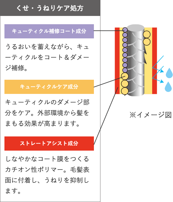 くせ・うねりが起きる原因