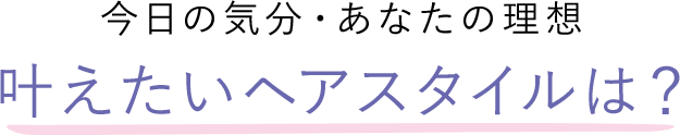 今日の気分・あなたの理想 叶えたいヘアスタイルは？