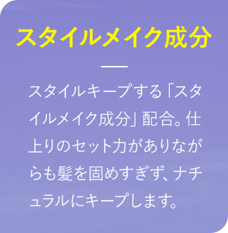 スタイルメイク成分 スタイルキープする「スタイルメイク成分」配合。仕上りのセット力がありながらも髪を固めすぎず、ナチュラルにキープします。