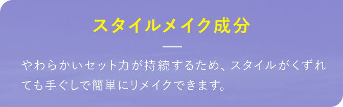 スタイルメイク成分 やわらかいセット力が持続するため、スタイルがくずれても手ぐしで簡単にリメイクできます。