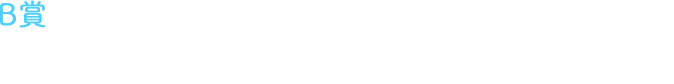 B賞  パウダーチップ アイカラー限定2色セット 1,000名様