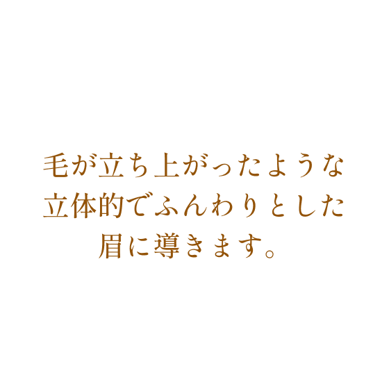 毛が立ち上がったような立体的でふんわりとした眉に導きます。