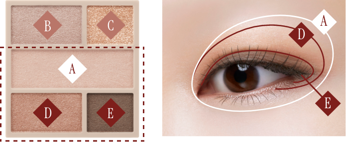 使用方法 パレット左上からB、C、A、D、E